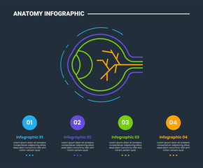 Naklejka premium Human body anatomy infographic process diagram with human eye simple outline with circle point list on bottom area with dark background bright outline style 4 points
