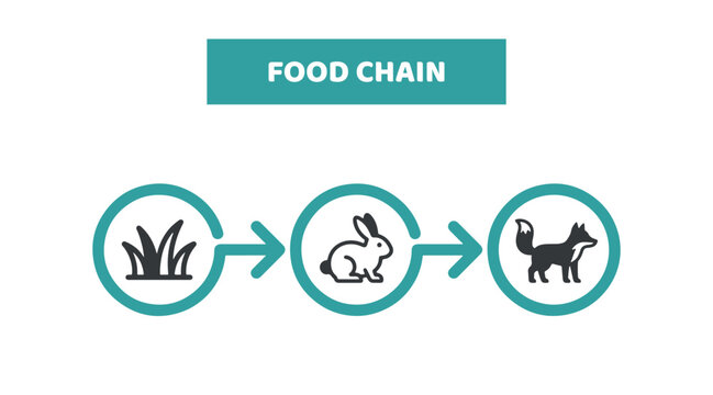 Vector food chain design on white background