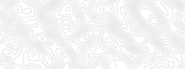 Abstract terrain map contour line seamless pattern geometric grid landscape technology modern white background © Romana
