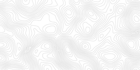 Topographic contour line geometric seamless pattern abstract landscape grid map technology modern white background © Romana