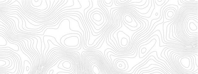 Topographic contour line geometric seamless pattern abstract landscape grid map technology modern white background © Romana