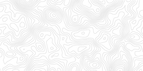 Abstract contour line map seamless pattern geometric topographic landscape grid technology background white modern design © Romana