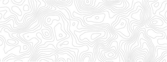 Abstract contour line map seamless pattern geometric topographic landscape grid technology background white modern design © Romana