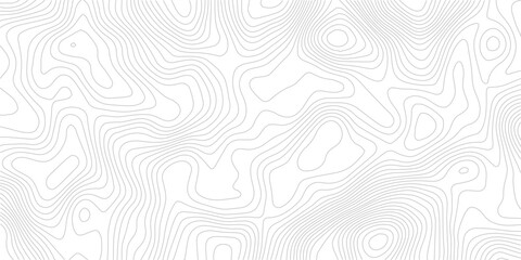 Topographic contour line seamless pattern abstract geometric landscape grid map exploration white background design © Romana