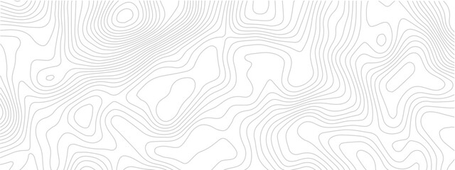 Abstract topography line seamless pattern with geometric contour grid map modern technology background white design © Romana