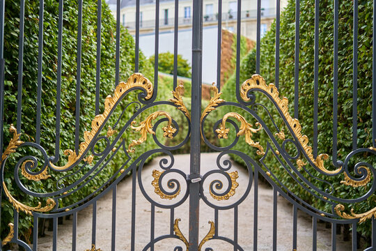 An ornate wrought iron gate featuring intricate gold leaf decorative scrollwork stands closed, framing a view of manicured green hedges and a gravel pathway