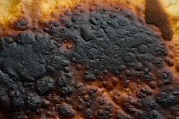 Burnt food surface showing overcooked texture with dark charred areas and brown crusty patterns