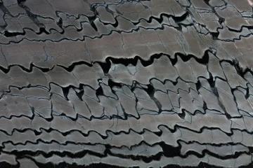Fotobehang Marmer Close up of lined quartzite stone background.  © Dmytro Synelnychenko