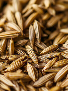 Macro Close-up of Dried Cumin Seeds Background