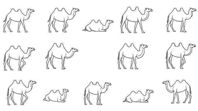 Line Art Camel Collection: Minimalist Vector Illustration of Arabian Desert Animals for Educational Resources, Coloring Pages, and Travel-Themed Designs, Ideal for Children's Books and Creative...