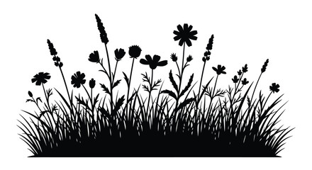 Wildflower meadow with grasses and blooms in striking silhouette © SAKINA
