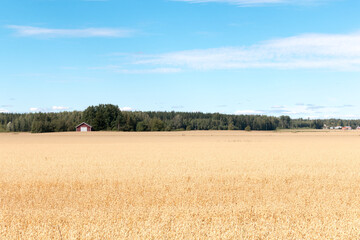 Fototapeta premium Beautiful summer countryside scenery in Loimaa, Finland.