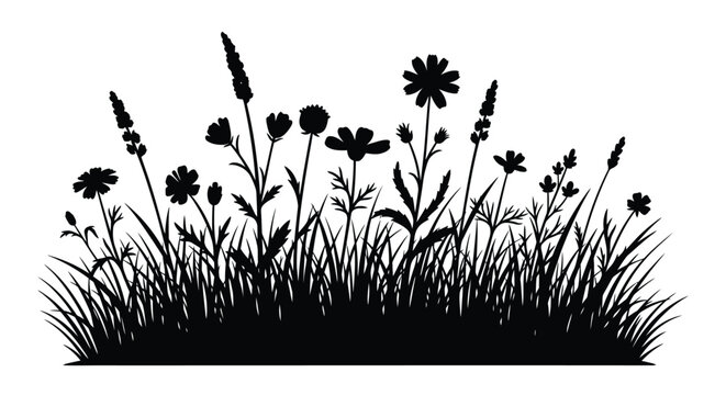 Wildflower meadow with grasses and blooms in striking silhouette