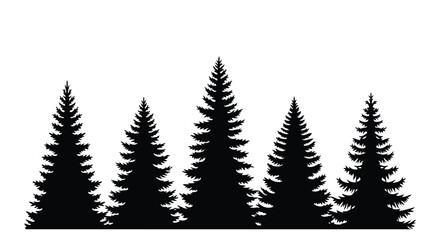 Dark forest of coniferous trees against a white background silhouette © SAKINA