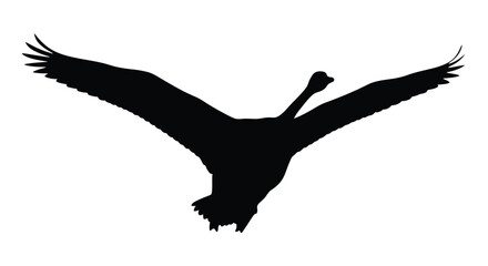 Fototapeta premium A striking silhouette of a bird in full flight with wings spread