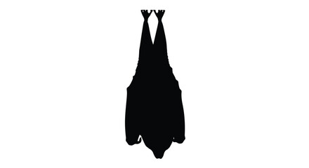 A dark silhouette of a bat hanging upside down on a white background © APIM02SN