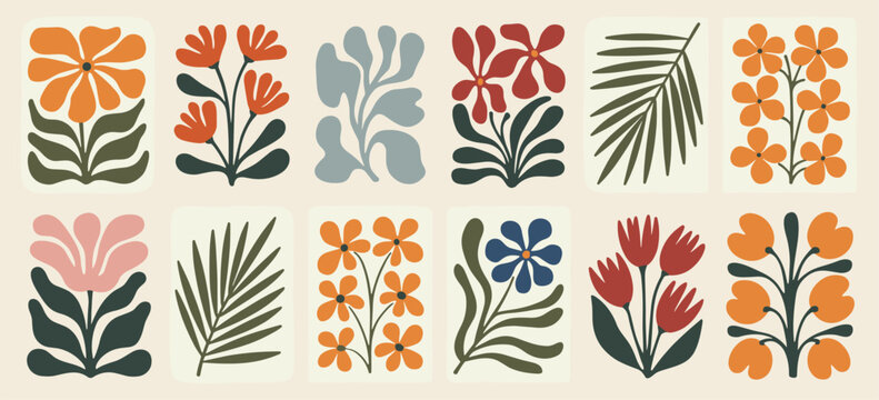 Collection Of Mid Century Modern Botanical Illustrations