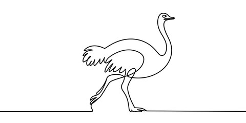 Obraz premium Minimalist ostrich single line vector large bird outline illustration design