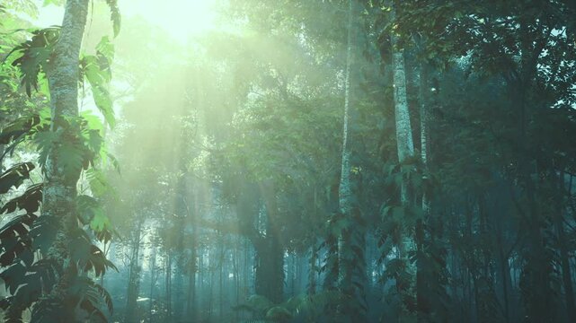 Sunlit eucalyptus forest with morning mist, golden rays filtering through tall trunks, ferns and leaflitter in soft focus, tranquil atmosphere perfect
