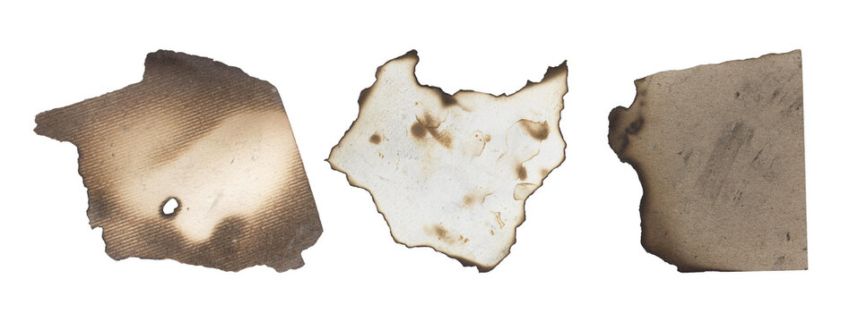Various burnt paper pieces with unique scorch marks and irregular shapes