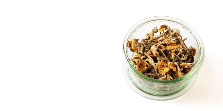 Dried Golden Teacher mushrooms (Psilocybe cubensis) in a glass bowl. White background with space for additional content. 