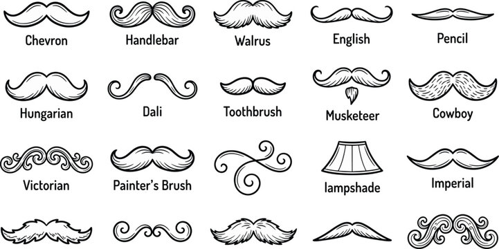 Collection of various mustache styles and facial hair types