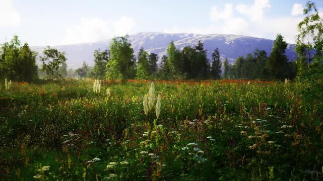 Alpine meadow with distant snowcapped mountain and carpet of wildflowers, open vista, crisp air, layered trees and panoramic horizon, ideal for adventure,