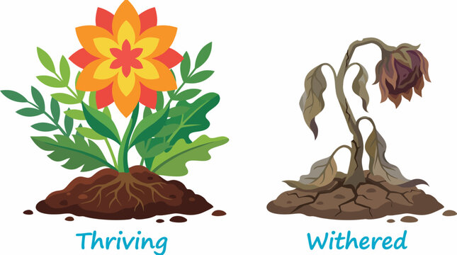 An engaging illustration contrasting a thriving flower with healthy roots and a withered plant, highlighting the importance of care and nourishment for plant growth.
