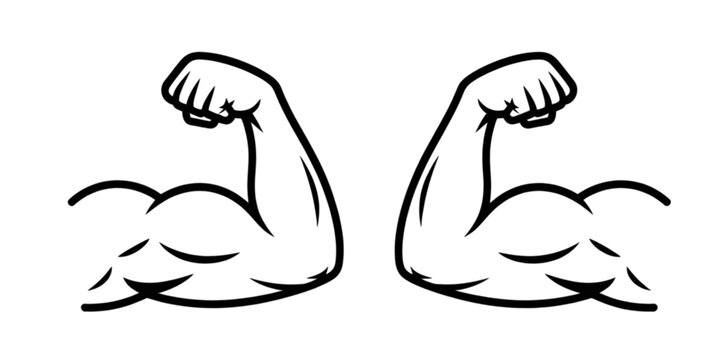 A detailed illustration of two muscular arms flexing their biceps side by side. Vector