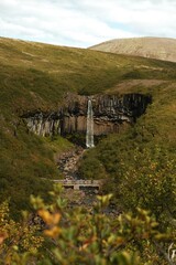 Svartifoss waterfall surrounded by basalt columns and green valley landscape in Vatnajokull National Park, Iceland.