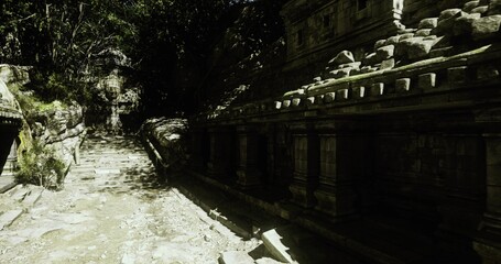 Sunlit temple wall revealing intricate carvings and leafframed sky, warm highlights and protective canopy shade create textured ancient ambiance © icetray