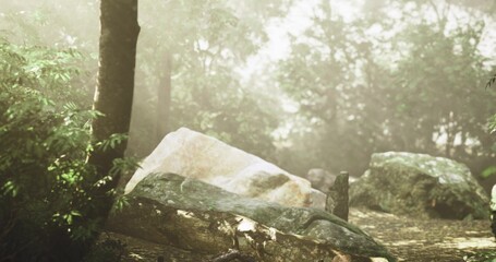 Obraz premium Ancient stone amidst woods, Massive historic boulder in woodland sanctuary, Ancient stone structure situated peacefully deep inside forest for reflection