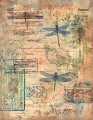 Fototapeta premium Old parchment paper with dragonfly illustration