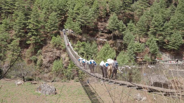 Mule Caravan Crossing Suspension Bridge in the Himalayas

