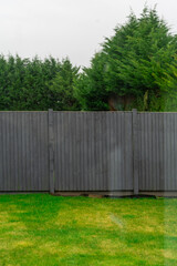 Grey wooden fence and green trees in the background. Fence in the back garden with green lawn