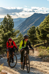 Two adults ride gravel bikes on a sunny dirt path through a pine forest toward distant mountains, enjoying summer adventure, fitness and freedom on a scenic spanish trail - stock photo