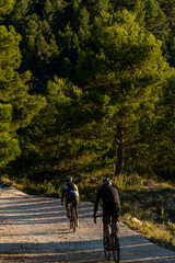 Two cyclists ride gravel bikes along a sunlit dirt trail through green pine forest near alicante, Spain, enjoying outdoor fitness, adventure and scenic summer landscape - stock photo