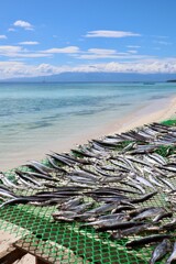Poissons s&eacute;chant au soleil sur la c&ocirc;te de l&rsquo;&icirc;le de Siquijor aux Philippines
