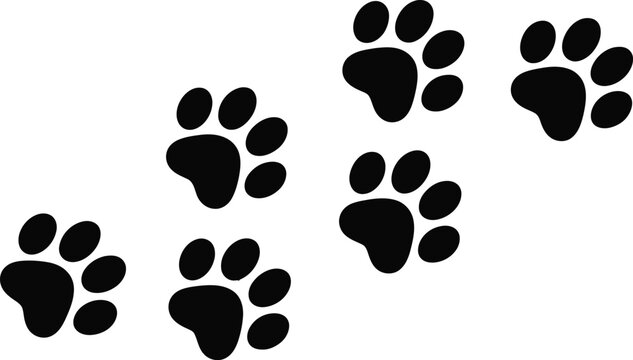 Black animal paw prints vector illustration set, perfect for pet-related designs, veterinary clinics, animal shelters, or playful children's backgrounds and patterns.