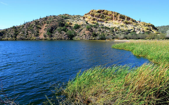 Autumn at Saguaro lake in Arizona