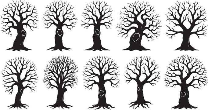 Set of bare winter trees in black and white minimalist style vector illustration flat design
