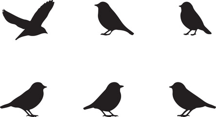 Fototapeta premium Eight unique black bird silhouettes in various poses vector illustration