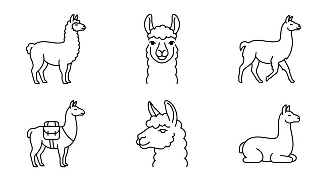 collection of llama, minimal thin icon vector set , white background , PNG and SVG isolate
