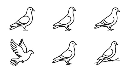 collection of pigeon, minimal thin icon vector set , white background , PNG and SVG isolate