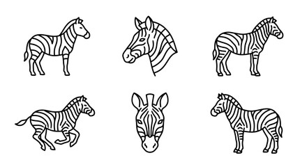 Fototapeta premium collection of zebra, minimal thin icon vector set , white background , PNG and SVG isolate