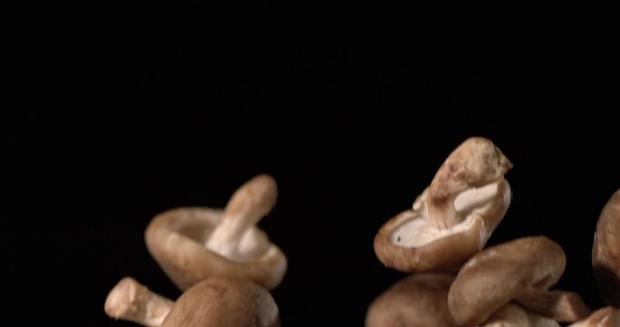 Super slow motion, Captivating Floating Shiitake Mushrooms Illuminated