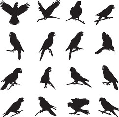 Obraz premium Twelve black parrot silhouettes flying perched vector illustration flat design bird art scalable graphic