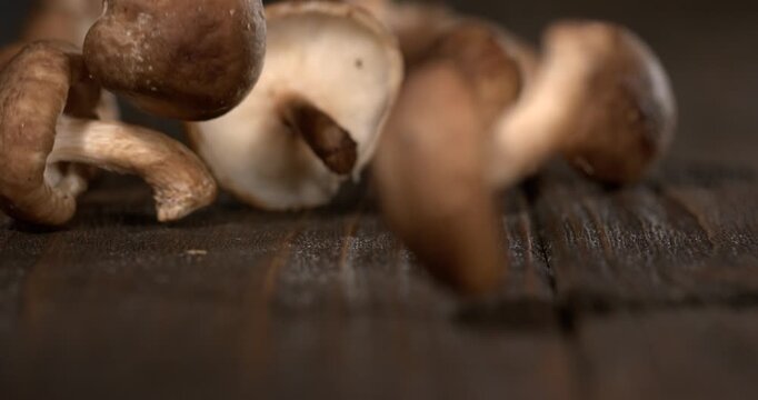 Super slow motion, Dramatic Slow Motion Of Shiitake Caps Scattering