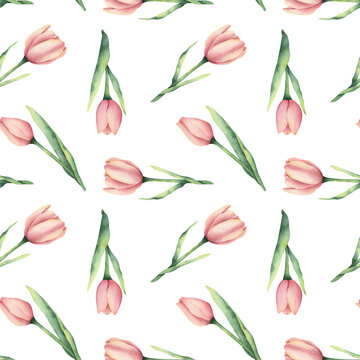 A pattern with pink watercolor tulips.