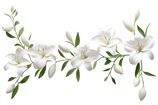 Elegant white lily floral border with green leaves and buds, isolated on transparent background for wedding and greeting card design.